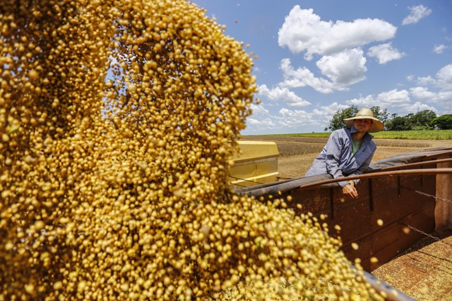 Exportações de soja do Brasil estão aumentando graças à recente ameaça chinesa de aumentar as tarifas sobre o produto vindo dos Estados Unidos em 25%. | Jonathan Campos/GAZETA DO POVO