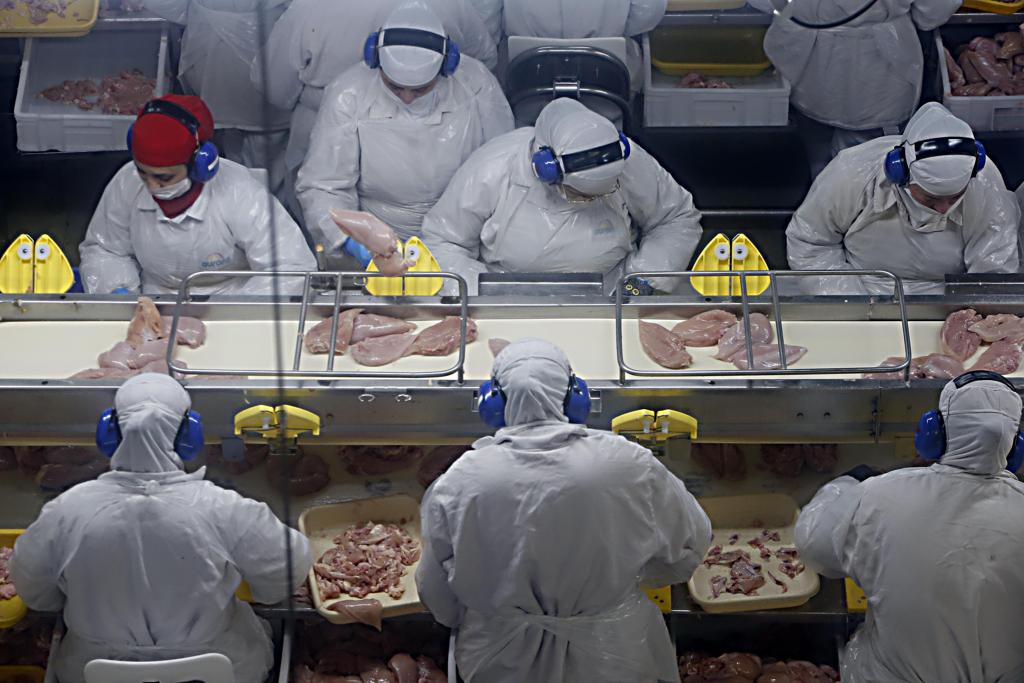 Quase 30 mil trabalhadores  da cooperativa foram dispensados por dois dias por causa da greve dos caminhoneiros | Albari Rosa/Gazeta do Povo