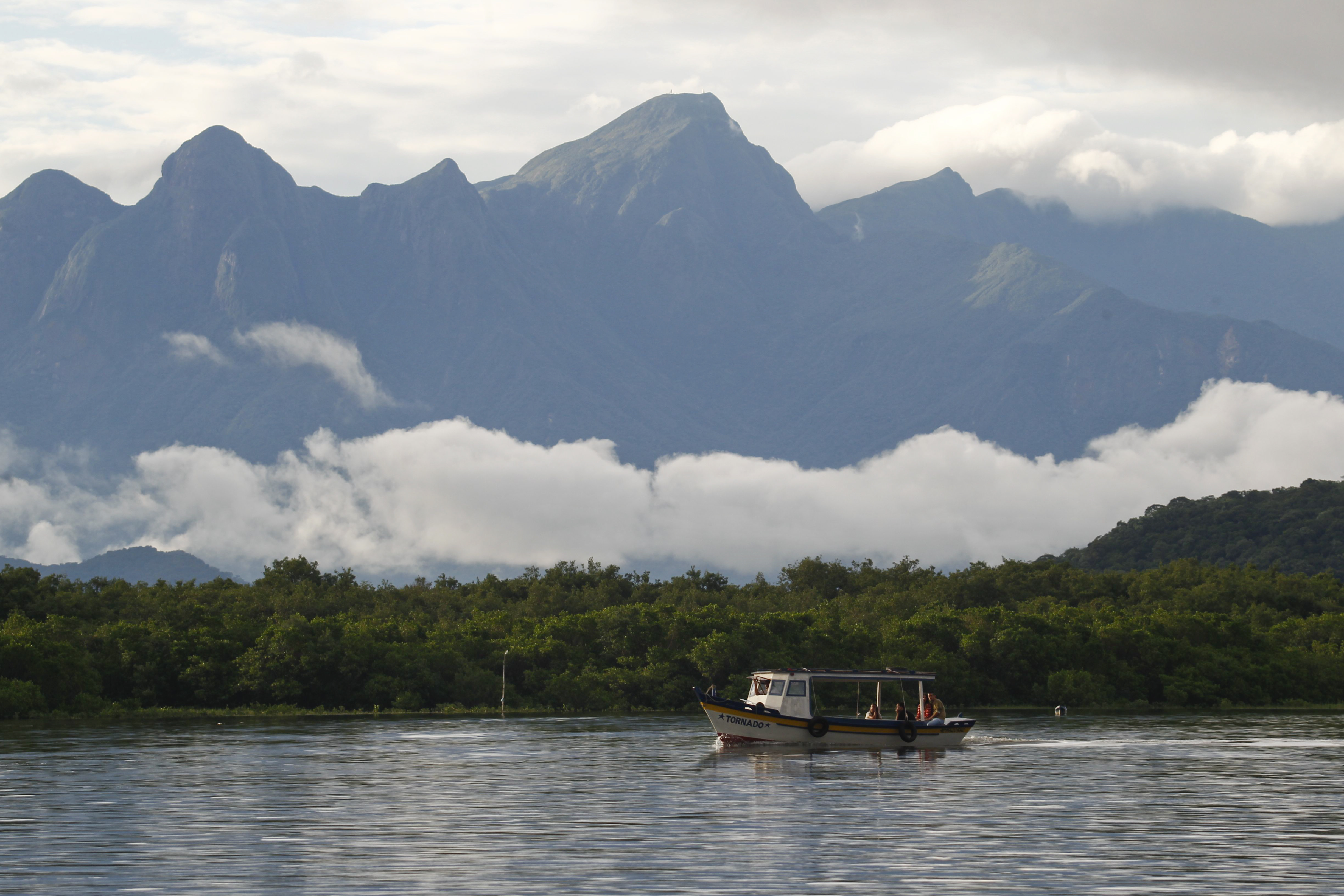 | Daniel Castellano
/Gazeta do Povo