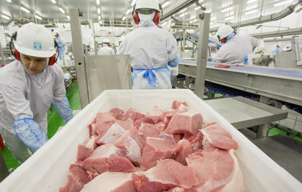 Fábrica da Alegra Foods nos Campos Gerais (PR): marca traz cortes especiais e é mais magros que outros concorrentes | Hugo Harada/Gazeta do Povo