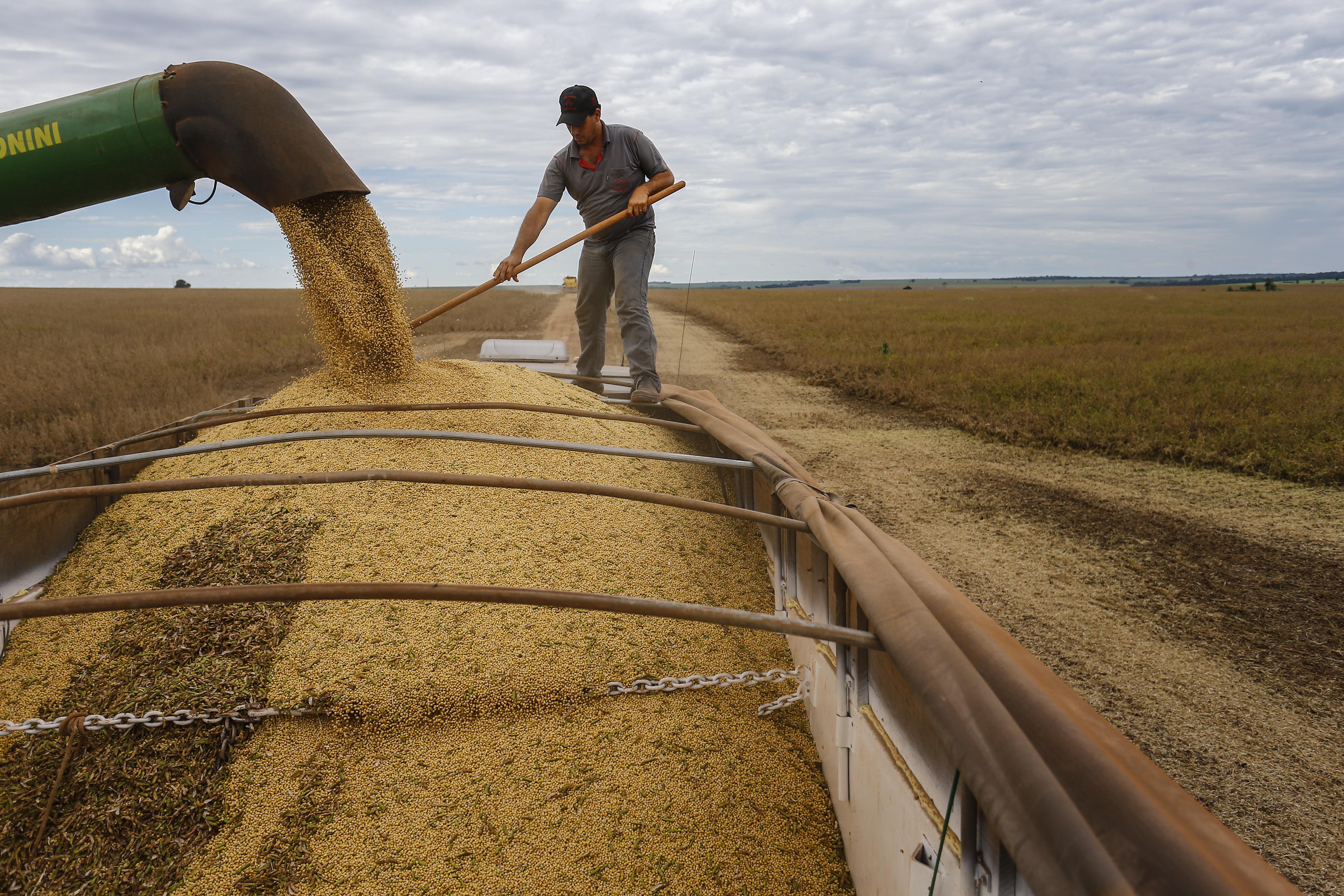 | Jonathan Campos/Gazeta do Povo