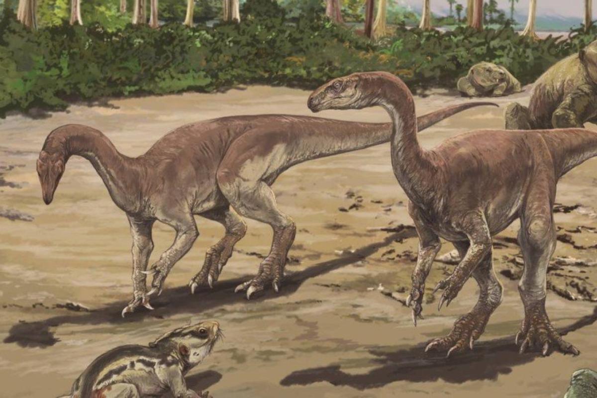 Bagualosaurus agudoensis, ou "lagarto bagual de Agudo", viveu há 230 milhões de anos | Divulgação/Jorge Blanco