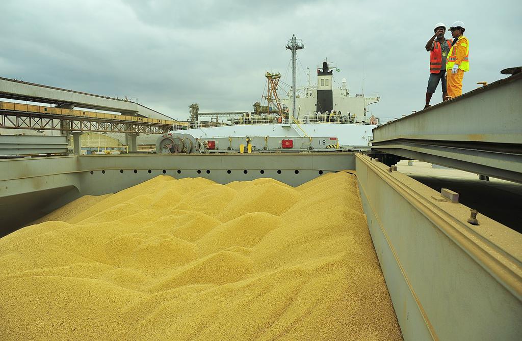 Desde o início da greve, 18 mil caminhões deixaram de descarregar no Porto de Paranaguá | IvanBueno/APPA