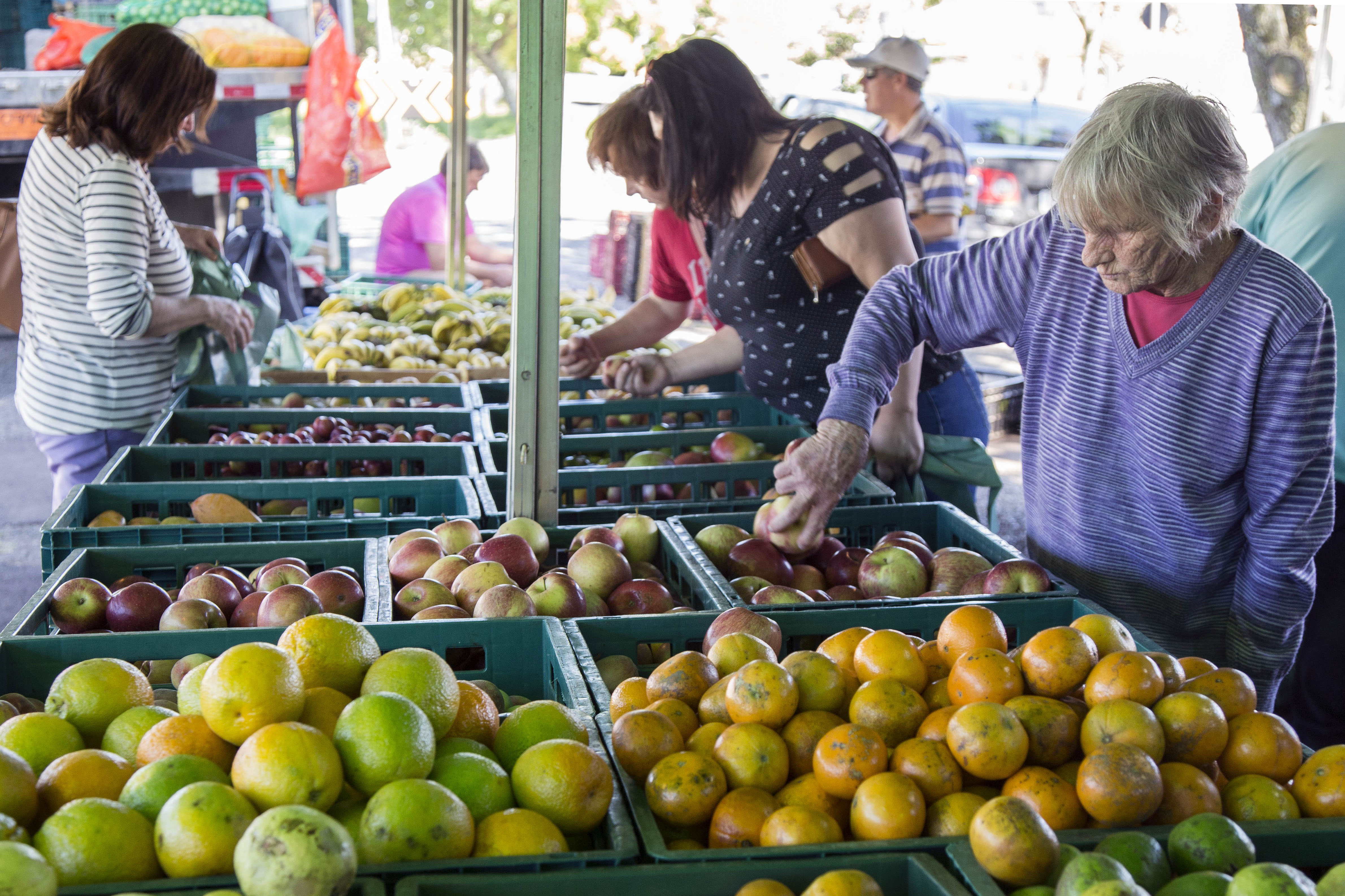 | Valdecir Galor/SMCS