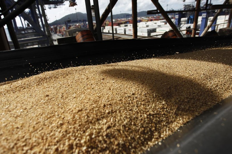 Os terminais portuários já trabalhavam com grãos armazenados anteriormente, mas à medida que a paralisação continua, os volumes caem ,enquanto a preocupação aumenta. | Jonathan Campos/Gazeta do Povo