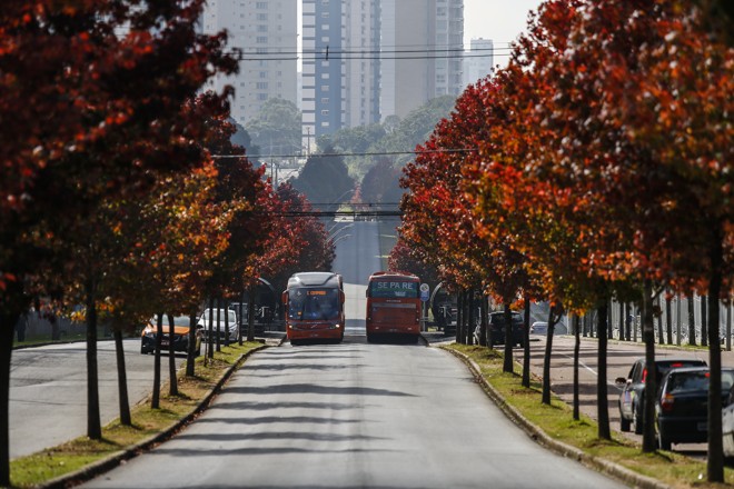  | Jonathan Campos/Gazeta do Povo
