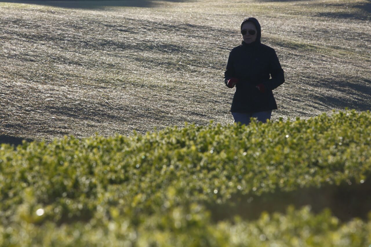 Manhã fria no Jardim Botânico de Curitiba: capital registrou geada fraca nesta terça-feira. | Aniele Nascimento/Gazeta do Povo