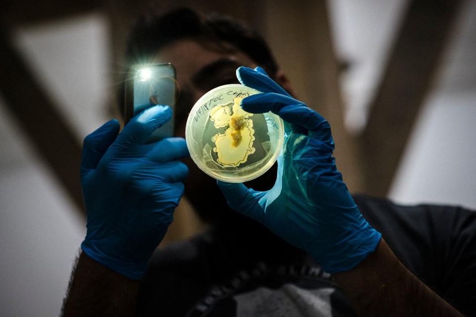 Pesquisador examina placa de Petri no laboratório de biohacking Genspace, em Nova York | RYAN CHRISTOPHER JONESNYT