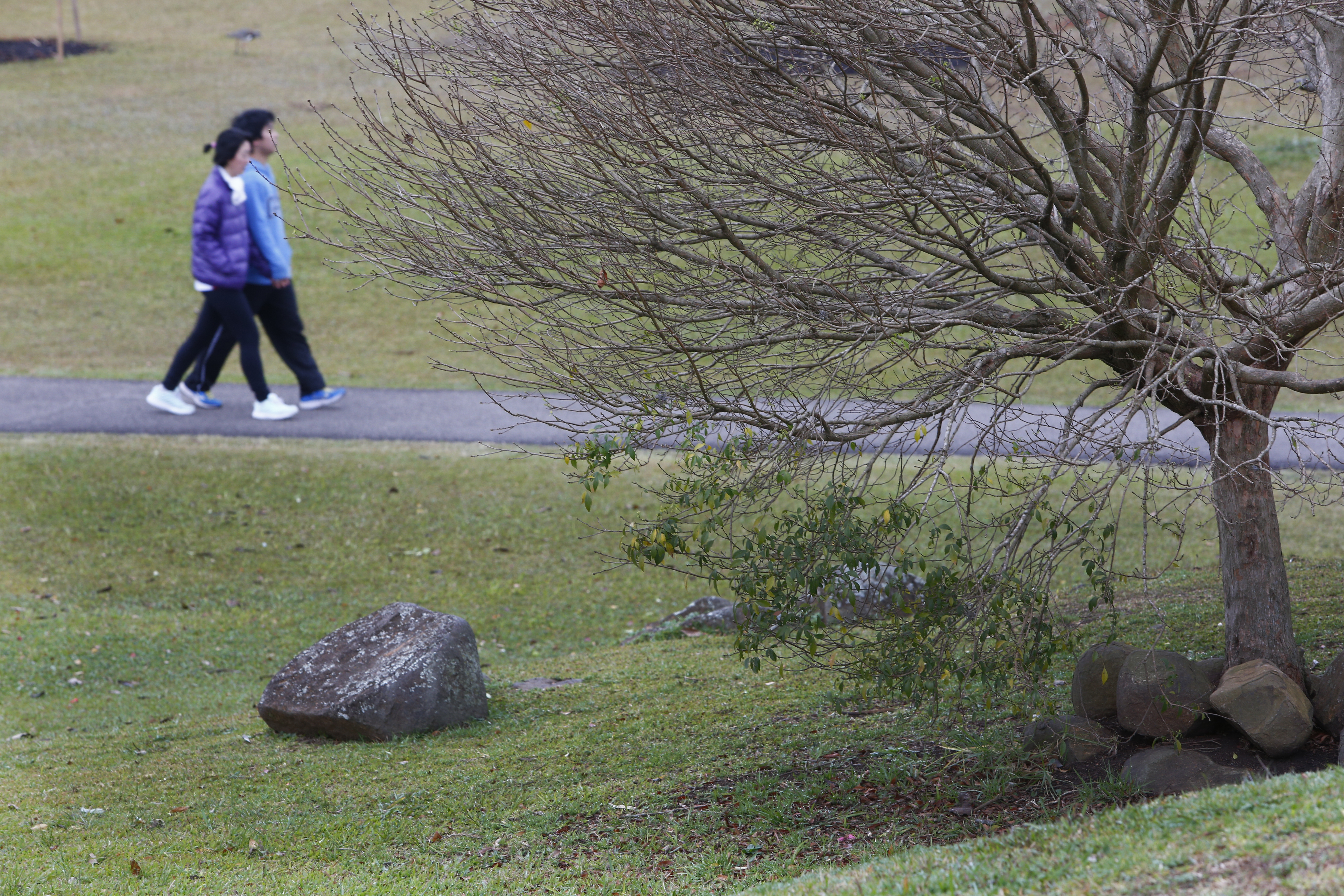 | Aniele Nascimento/Gazeta do Povo