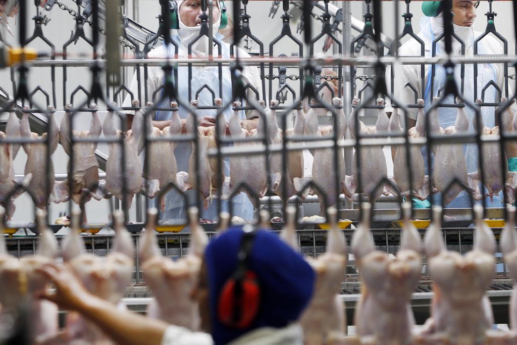 Em 2017, o país asiático foi destino de 391,4 mil toneladas de carne de frango do Brasil, equivalente a 9,2% de tudo o que o país embarcou no período. | Albari Rosa/