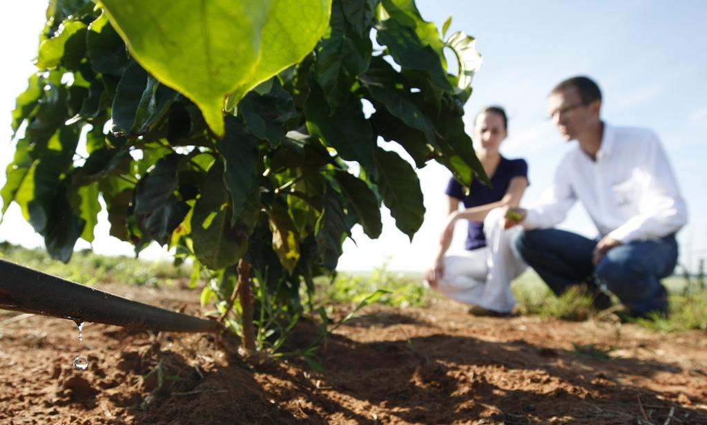 A remuneração inclui bolsa-auxílio de R$ 2.150 e benefício incluindo assistência médica, seguro de vida, carro alugado e ajuda de custo para viagens. | JONATHAN CAMPOS/ Gazeta do Povo