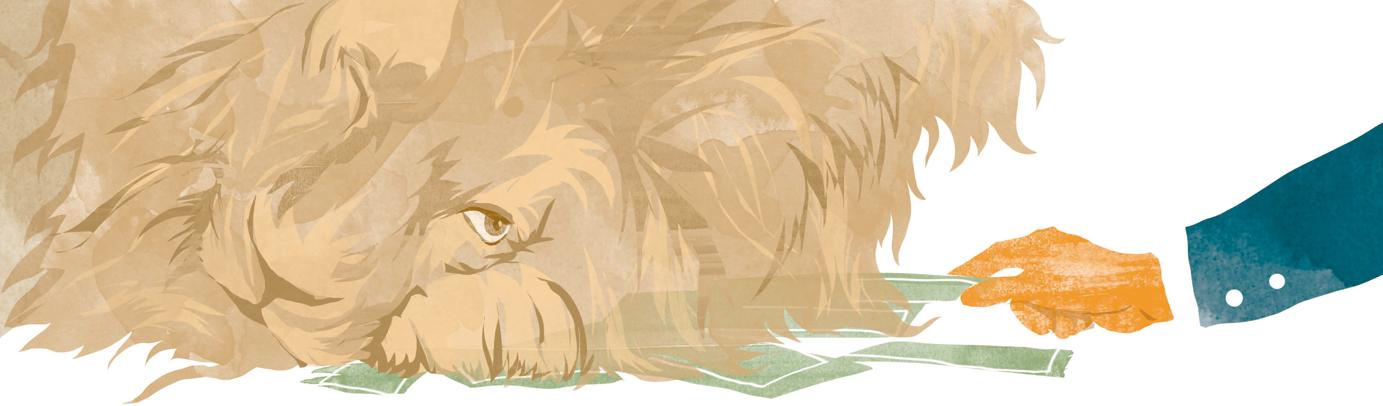 | Robson Vilalba/Thapcom