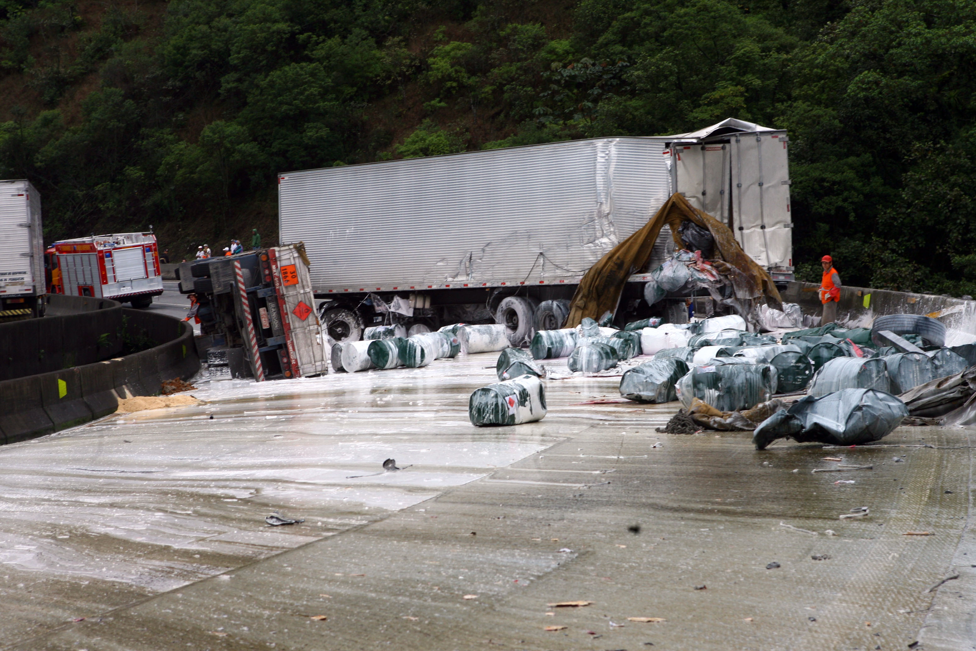  | Priscila Forone/Arquivo Gazeta do Povo