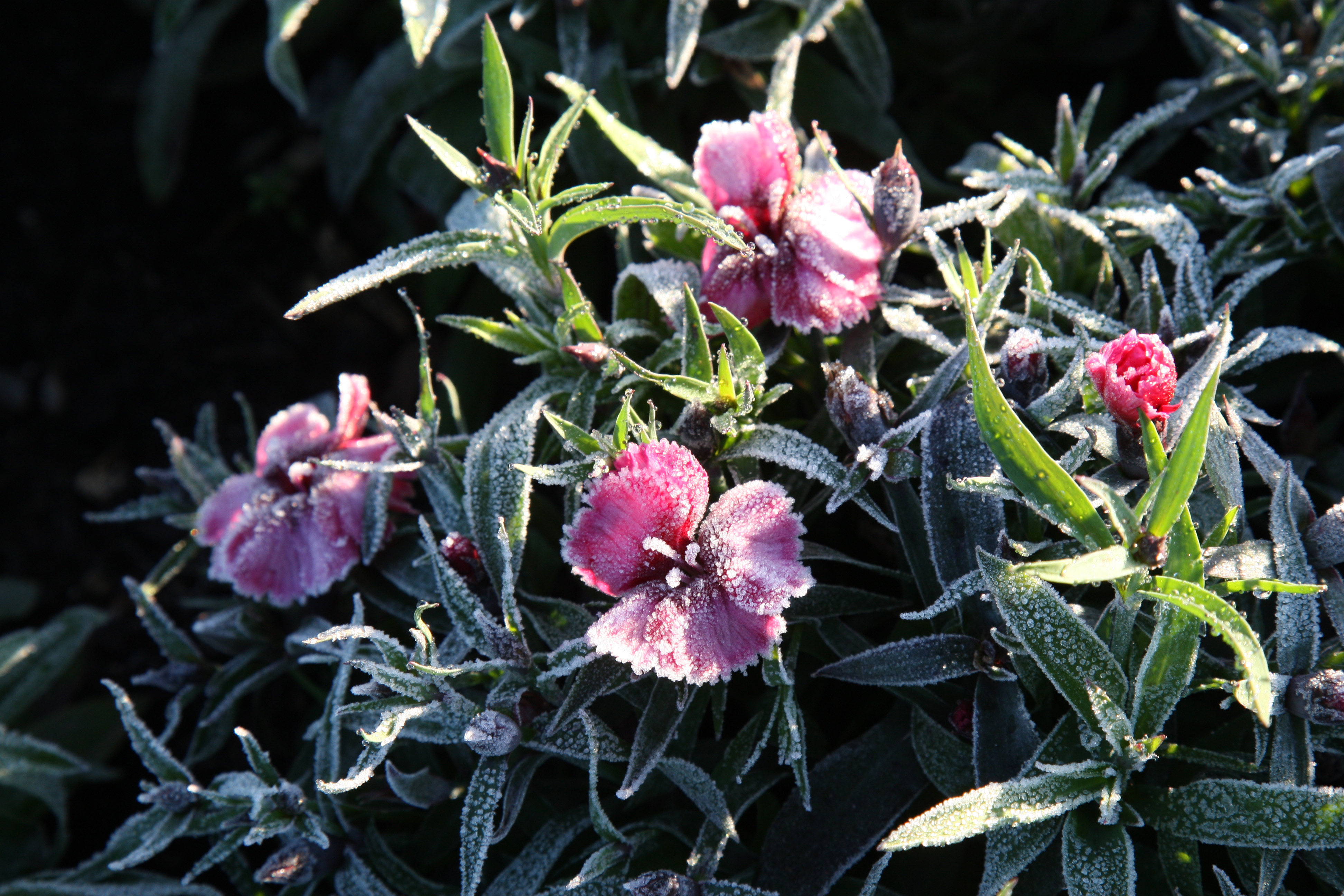  | Aniele Nascimento/Gazeta do Povo