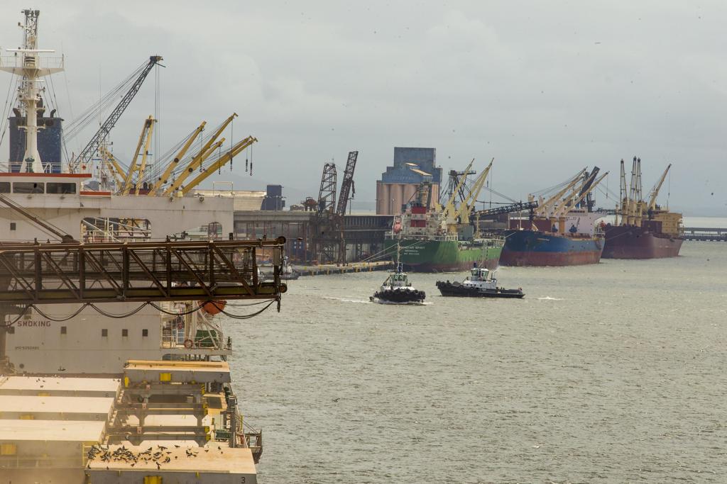 Quase 40% dos fertilizantes importados chegam ao País pelo Porto de Paranaguá | Hugo Harada/Gazeta do Povo