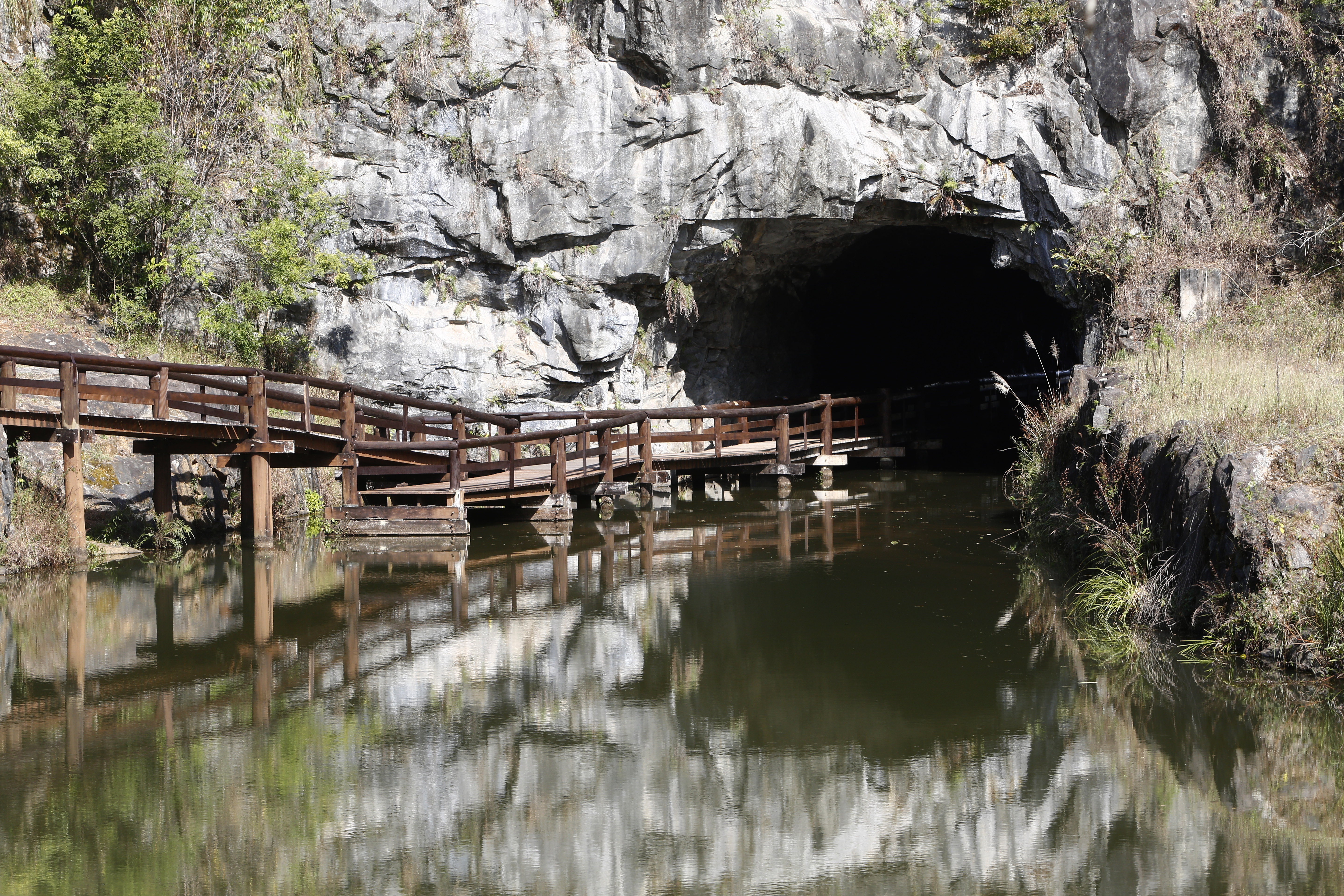 Túnel do Parque Tanguá volta a receber público em passeios guiados dia 7 de julho. | Aniele Nascimento/Gazeta do Povo