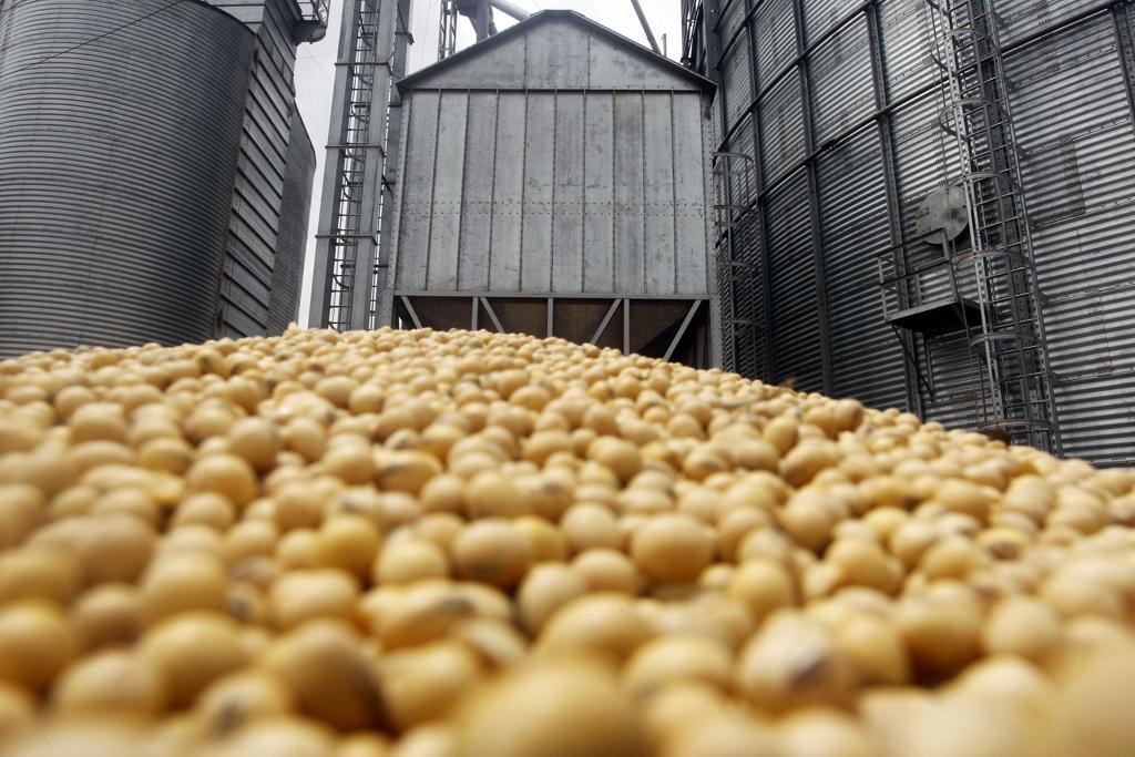 Os silos predominaram no segundo semestre com 78,8 milhões de toneladas, o que representa 47,2% da capacidade útil total do país. | Daniel Caron/Gazeta do Povo