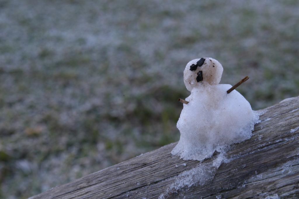 Apesar de toda a expectativa, chances de neve em Curitiba são baixas | Aniele Nascimento/Gazeta do Povo