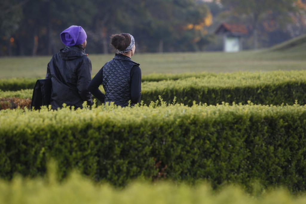 | Aniele Nascimento/Gazeta do Povo