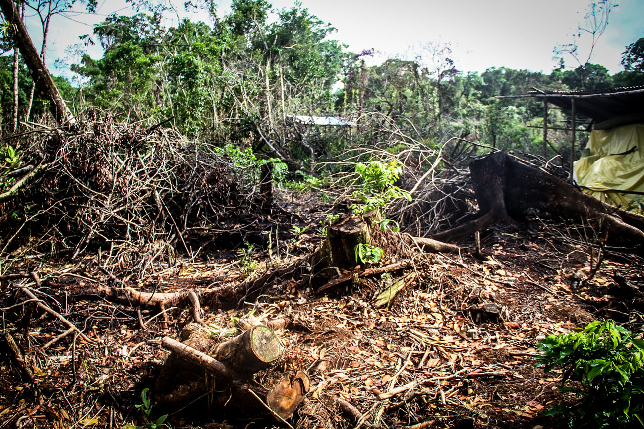 | Daniel Meneghetti/AEN