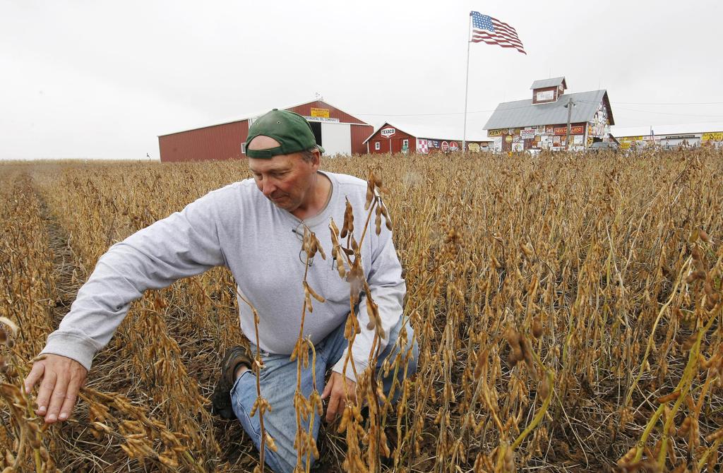 Produtor de soja dos Estados Unidos: medida do governo chinês irá sobretaxar a soja norte-americana a partir de julho | JONATHAN CAMPOS/GAZETA DO POVO