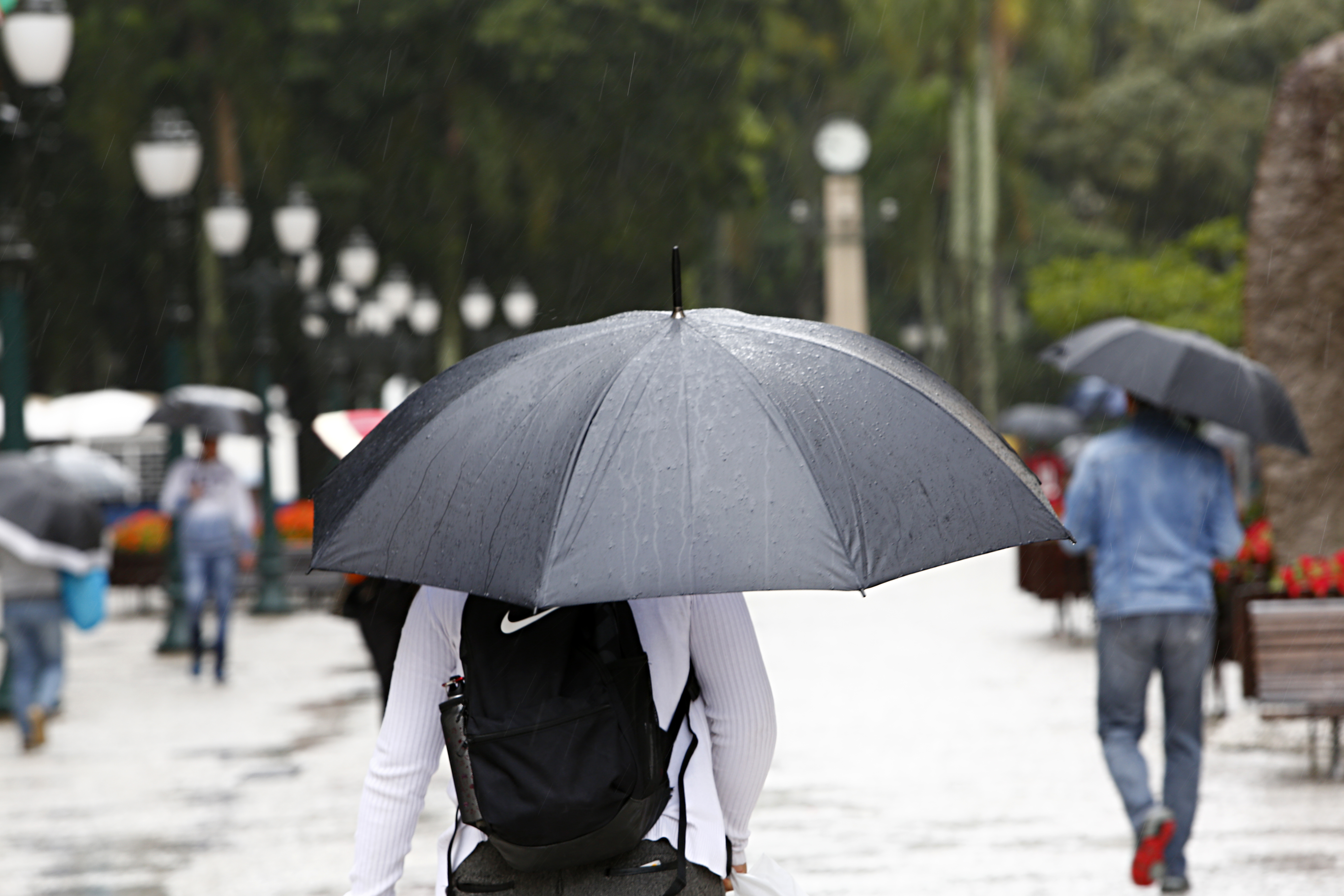 | Aniele Nascimento/Gazeta do Povo