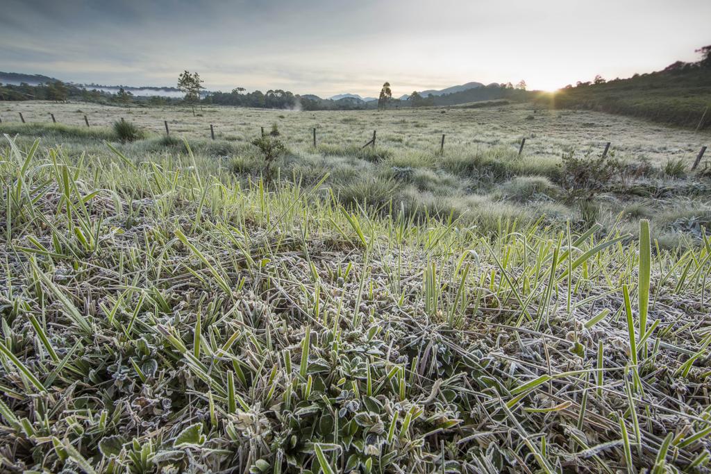 No domingo, há alerta de geada para as regiões de União da Vitória e Palmas, no Sul do Paraná | Lineu Filho/Tribuna do Paraná/Arquivo