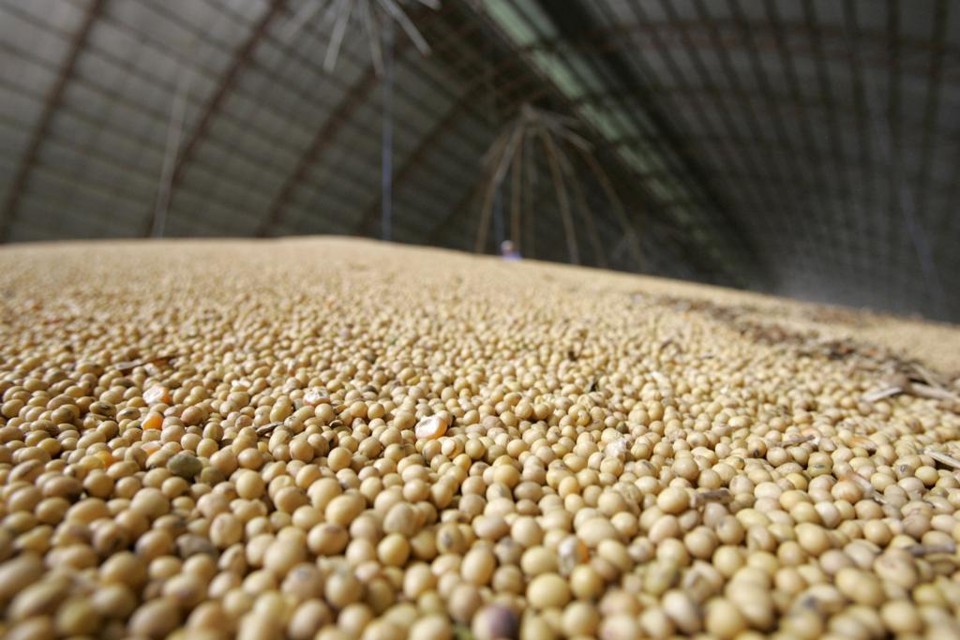 Entre os produtores rurais, o clima é de indignação. Ninguém quer pagar pelo tabelamento do preço mínimo do frete. | Arquivo/Gazeta do Povo