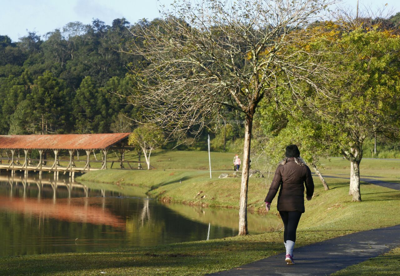 | Aniele Nascimento/Gazeta do Povo