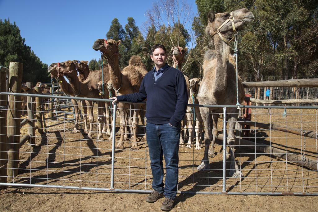 Marcel Steingiesser , CEO da Good Earth Dairy, da Austrália: “Temos a oportunidade de produzir o melhor leite de camelo do mundo” | Philip Gostelow/Bloomberg
