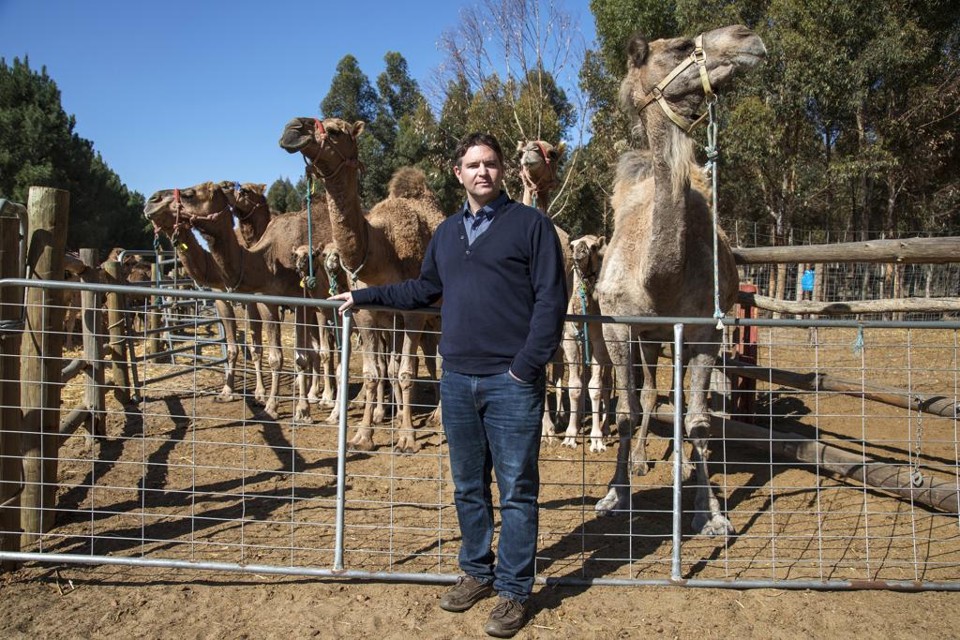 Executivo quer revolucionar indústria de laticínios com leite de camelo Marcel Steingiesser , CEO da Good Earth Dairy, da Austrália: “Temos a oportunidade de produzir o melhor leite de camelo do mundo” | Philip Gostelow/Bloomberg