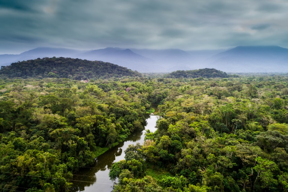 Perda temporária de matéria verde por causa de seca provocada pelo El Niño cobre área equivalente a Pernambuco | BigStock/