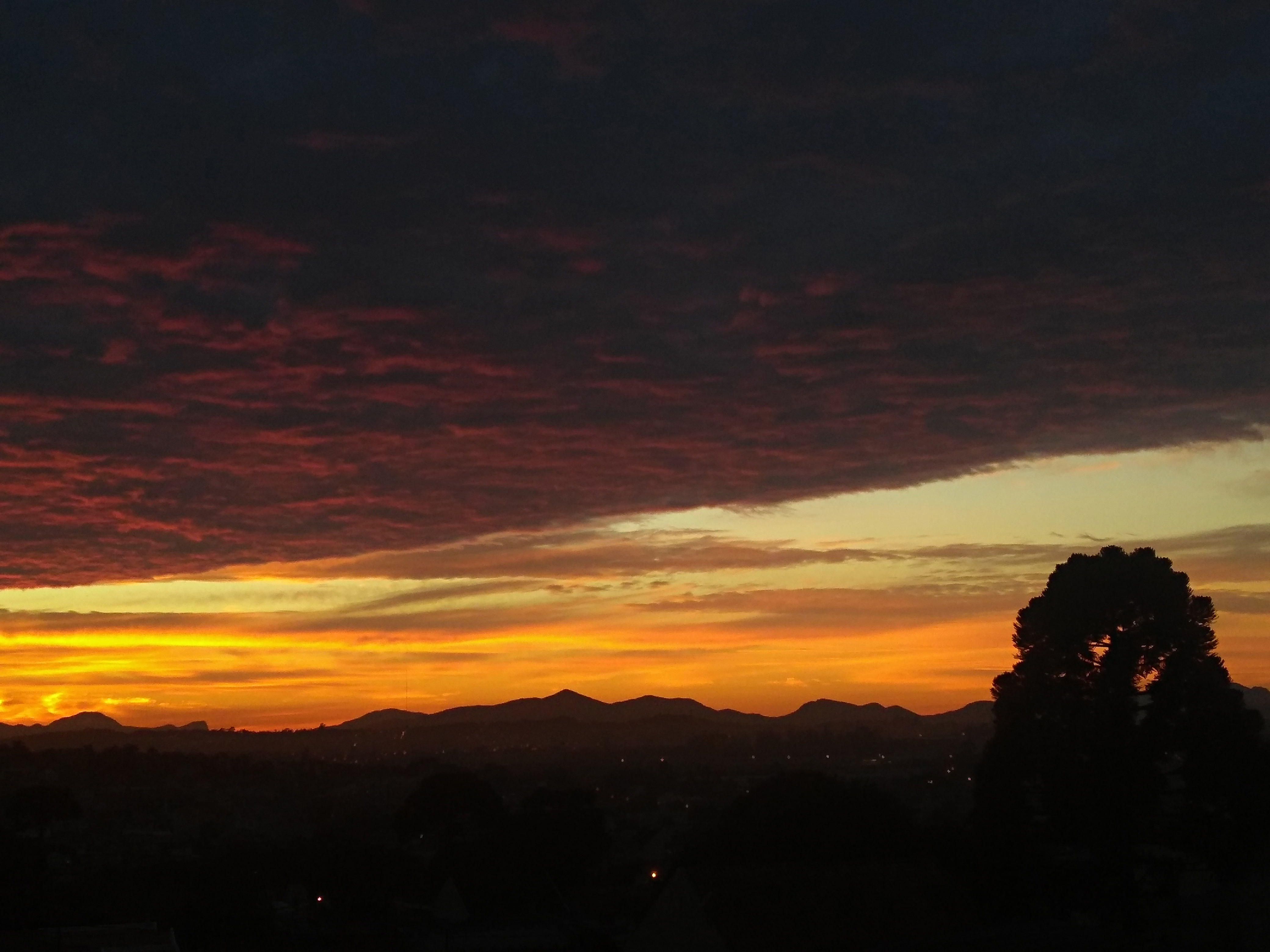 | Aniele Nascimento/Gazeta do Povo