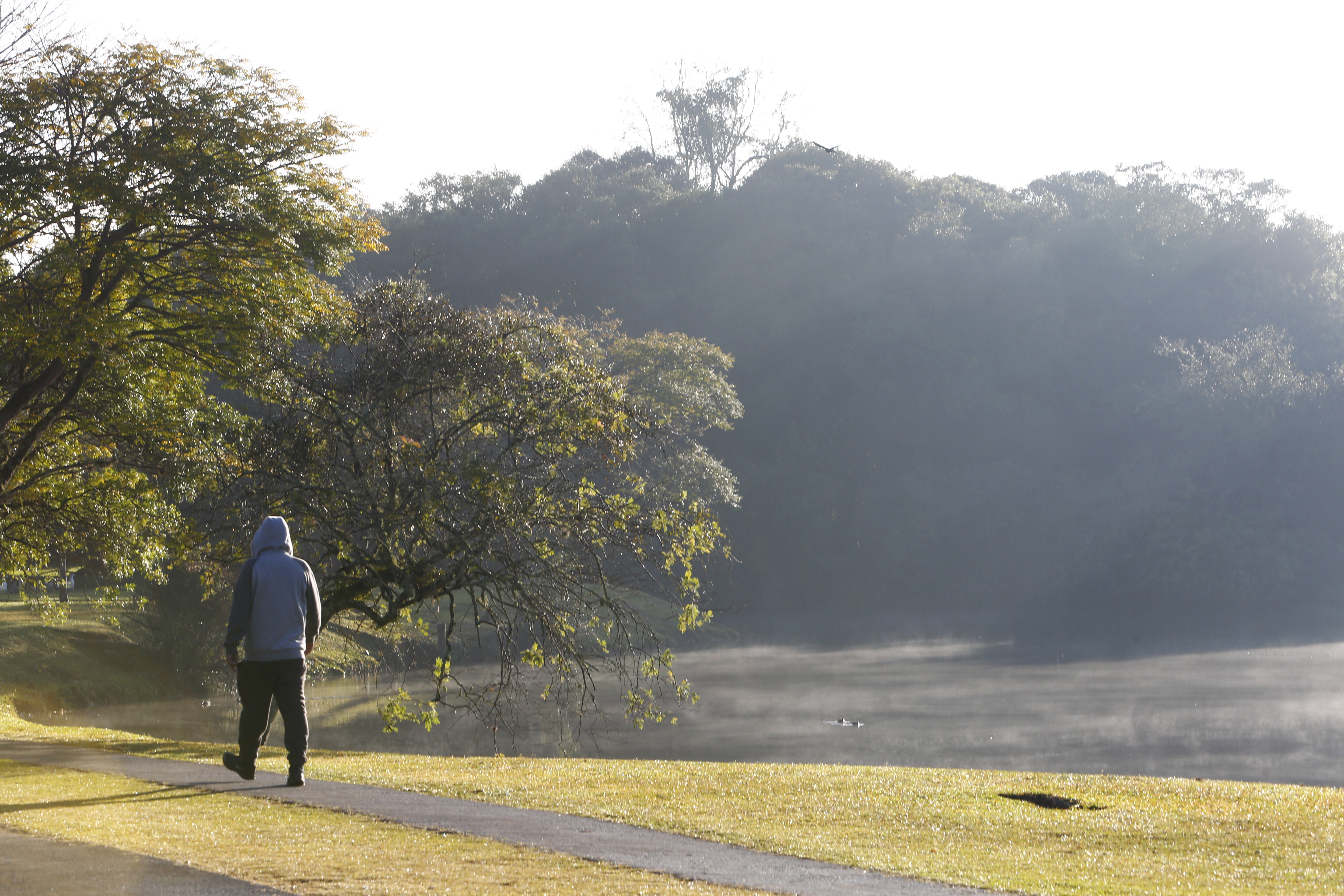 | Aniele Nascimento/Gazeta do Povo