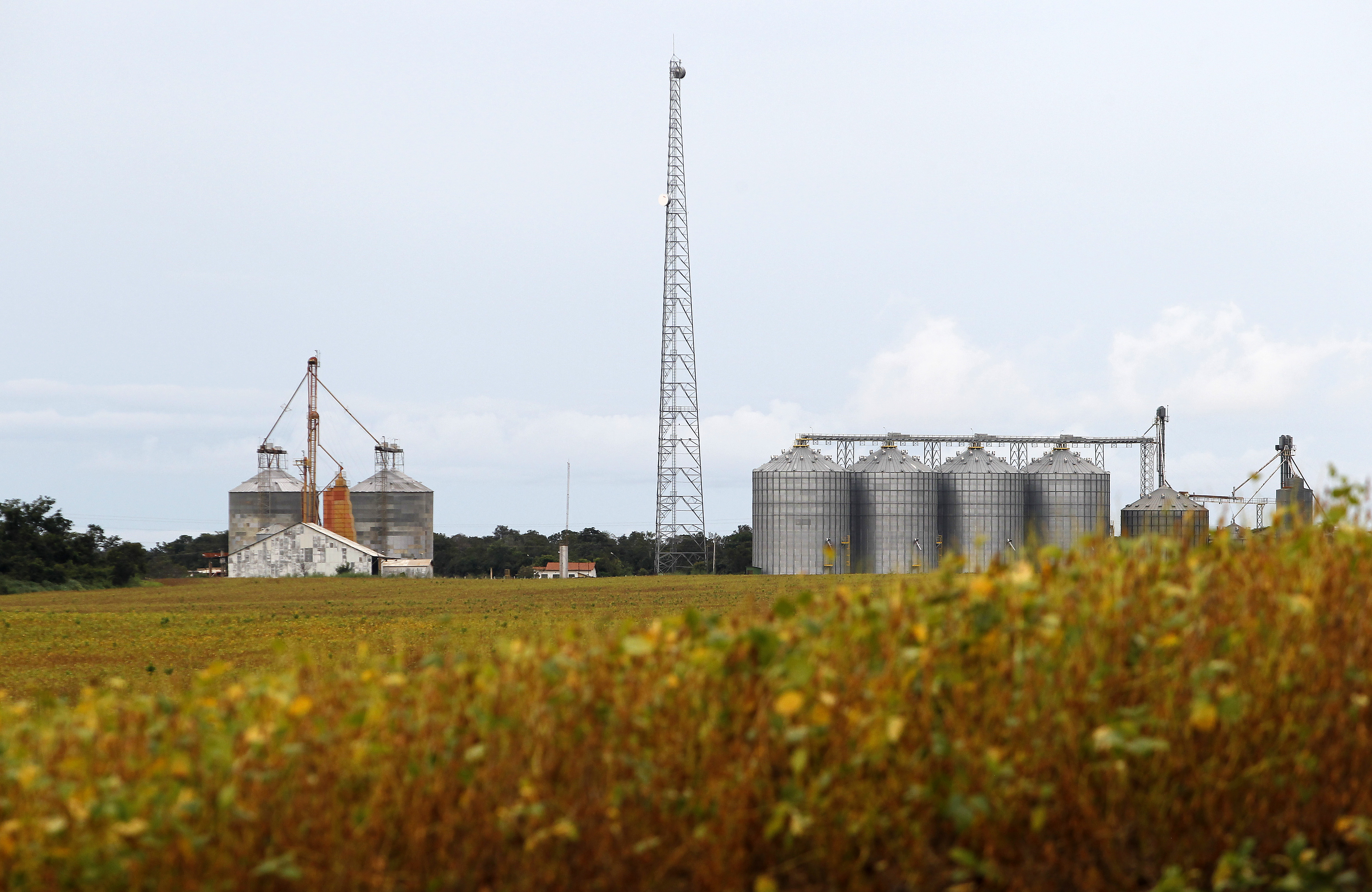 | Daniel Caron/Gazeta do Povo