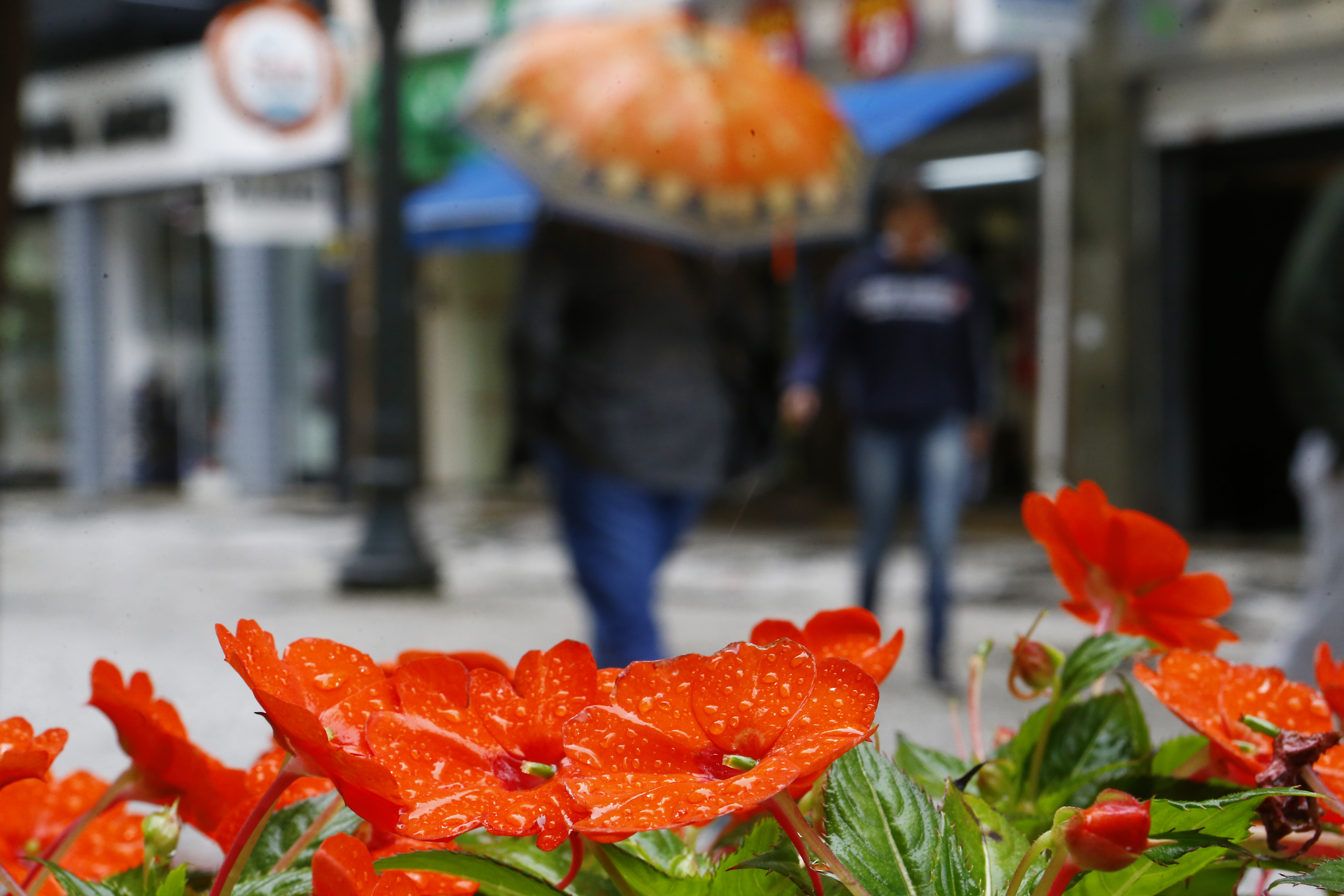 | Albari Rosa/Gazeta do Povo