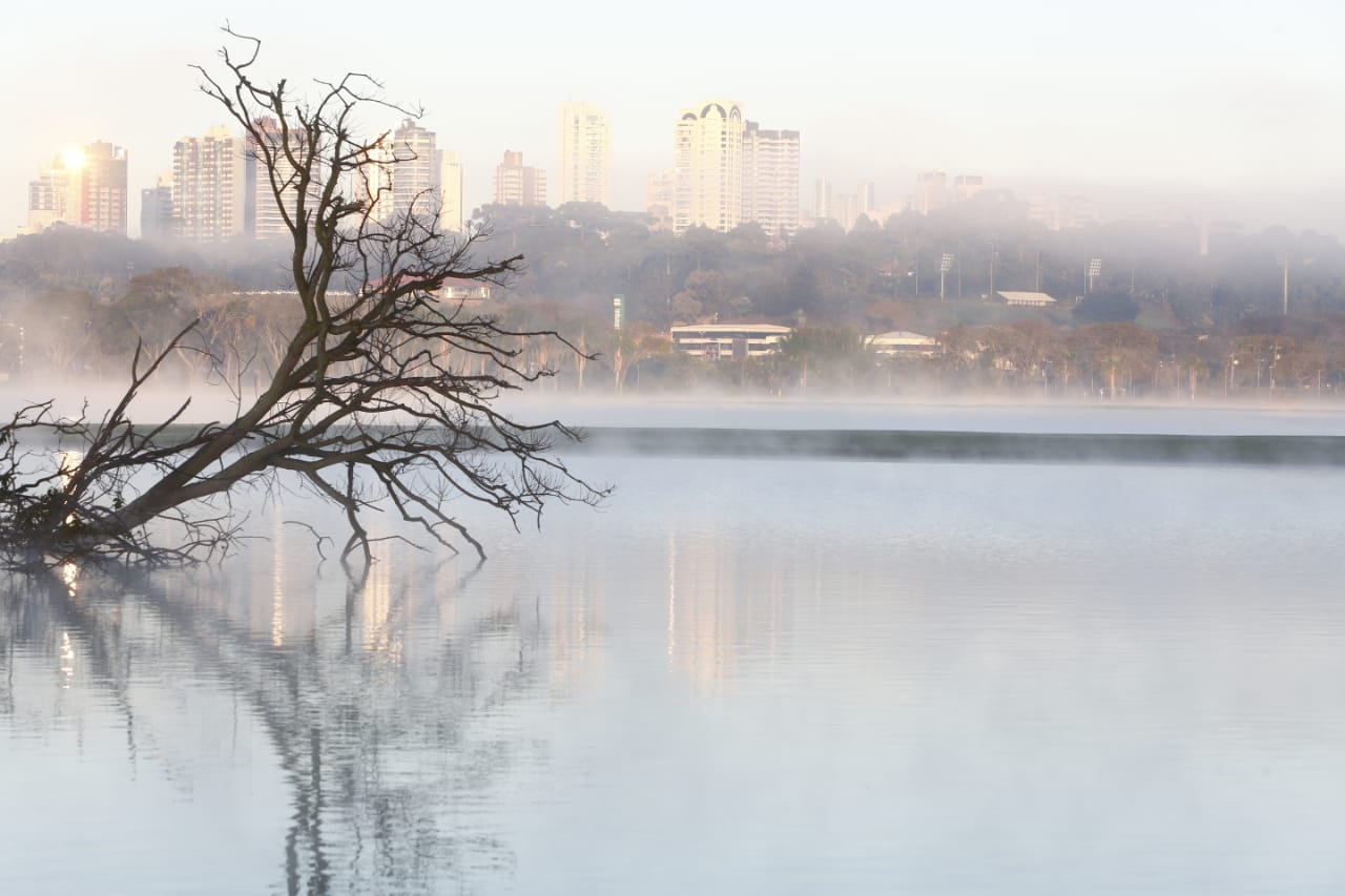 Parque Barigui, em Curitiba, amanheceu com geada nesta quarta-feira. | Aniele Nascimento/Gazeta do Povo