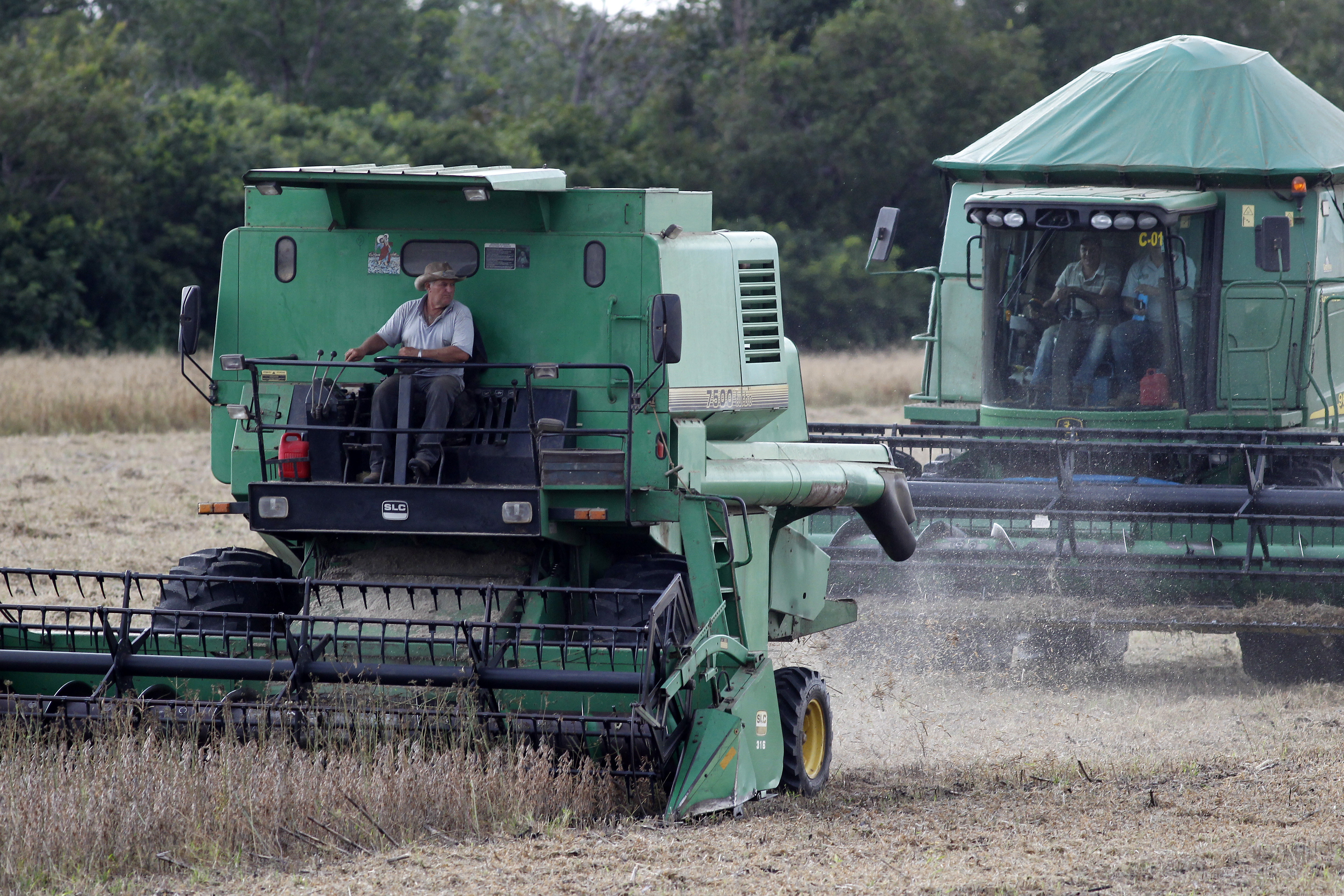 Nova forma de divulgação de relatórios do USDA será implementada em agosto | Daniel Caron/Gazeta do Povo