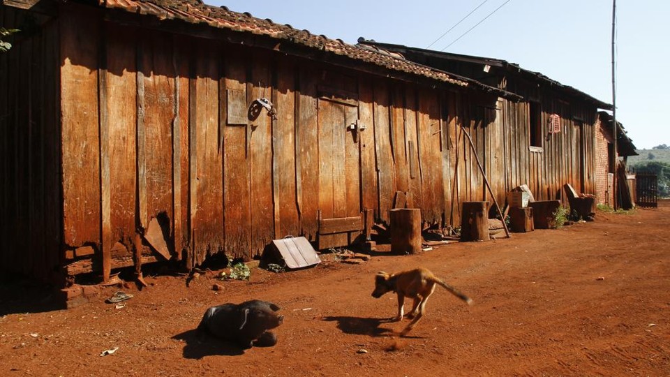  | Roberto Custódio / Gazeta do Povo