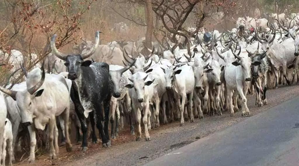  | Divulgação/Governo da Nigéria