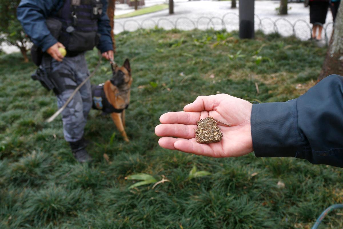 Equipe da Guarda Municipal de Curitiba faz operação contra o tráfico de drogas na Praça Carlos Gomes, no Centro da cidade. | Aniele Nascimento/Gazeta do Povo