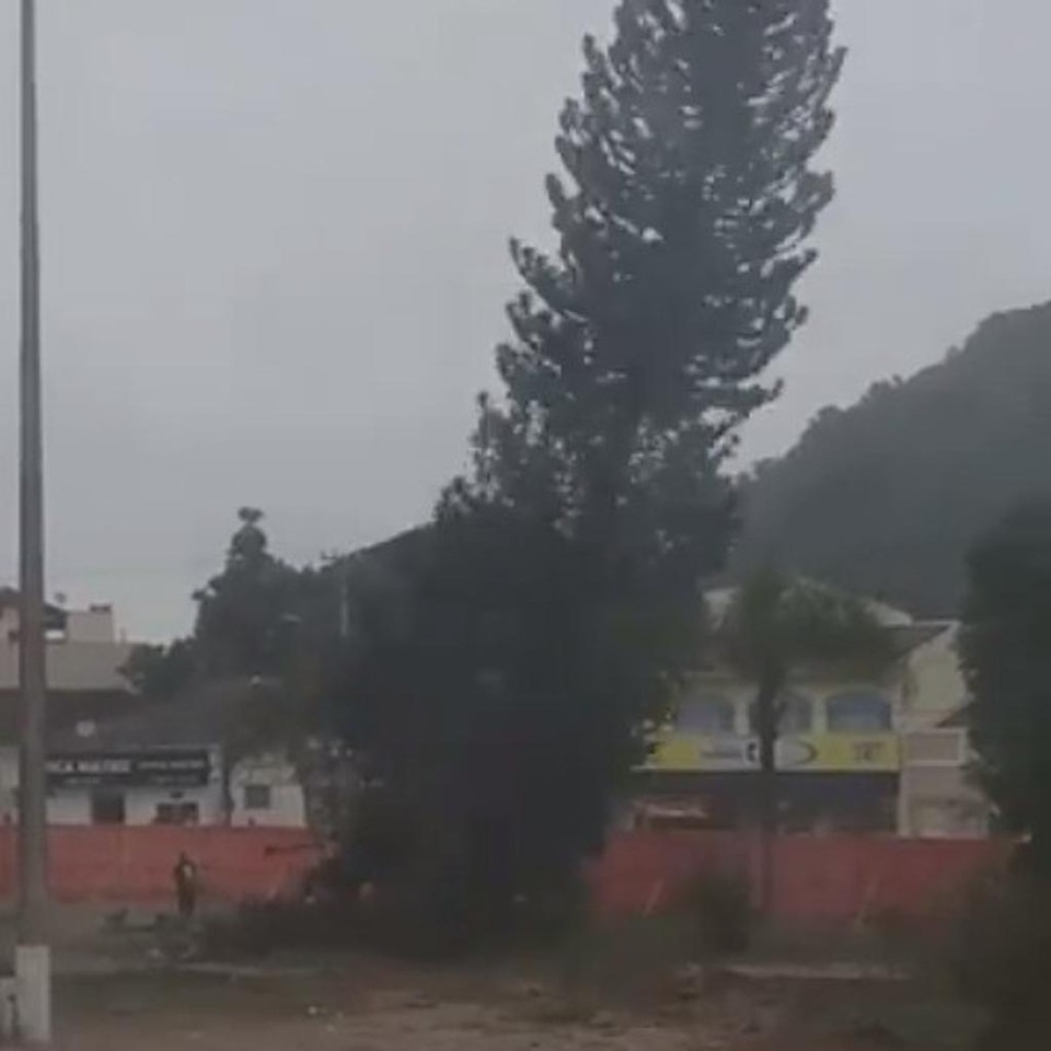  | Reprodução/