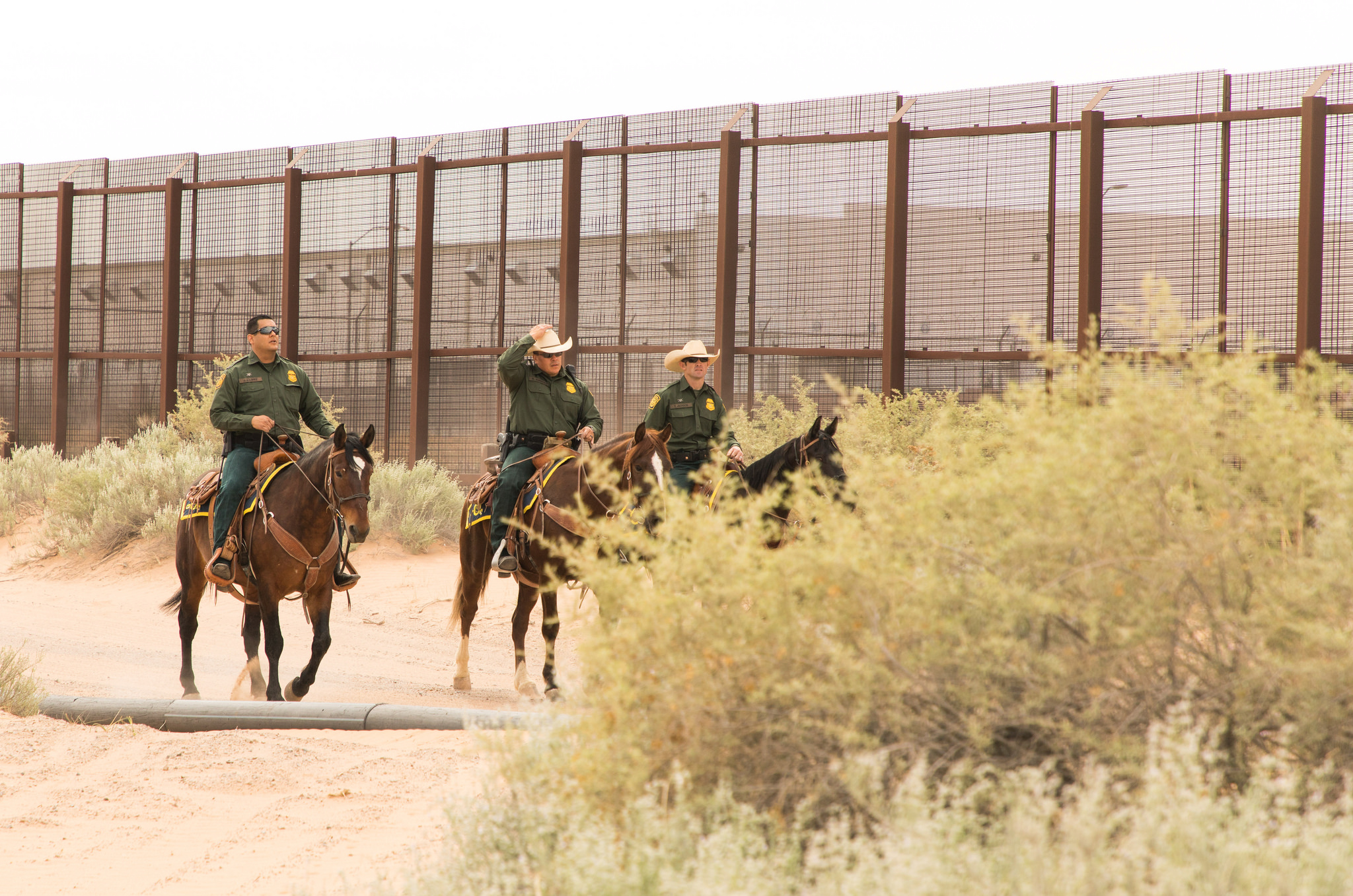 | Escritório de Relações Públicas/Divisão de comunicação visual