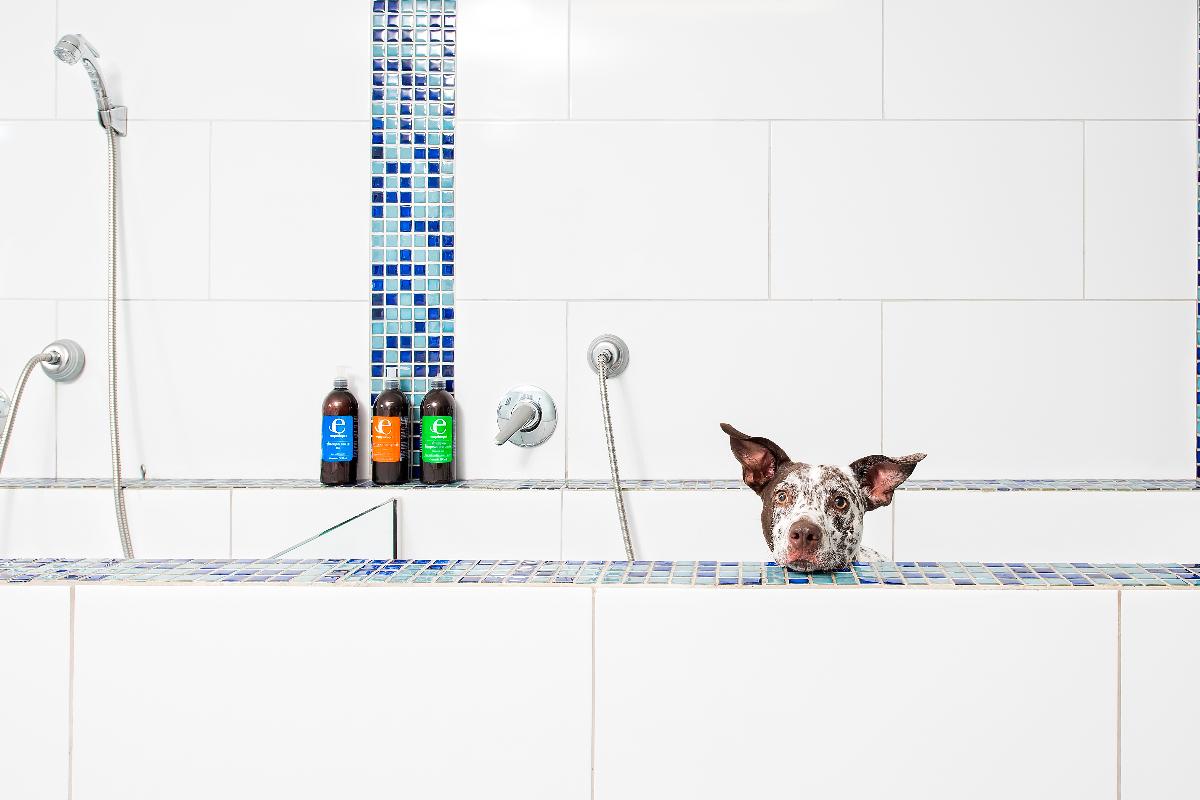 Imagem ilustrativa. | Letícia Akemi/Gazeta do Povo