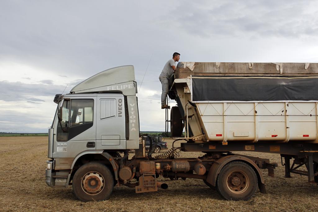  | Daniel Caron/Gazeta do Povo