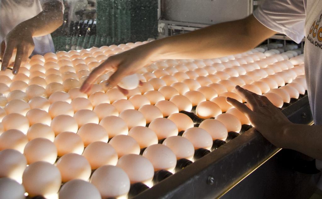 Disputa existe há 59 anos e é a mais antiga do mundo | Daniel Caron/Gazeta do Povo