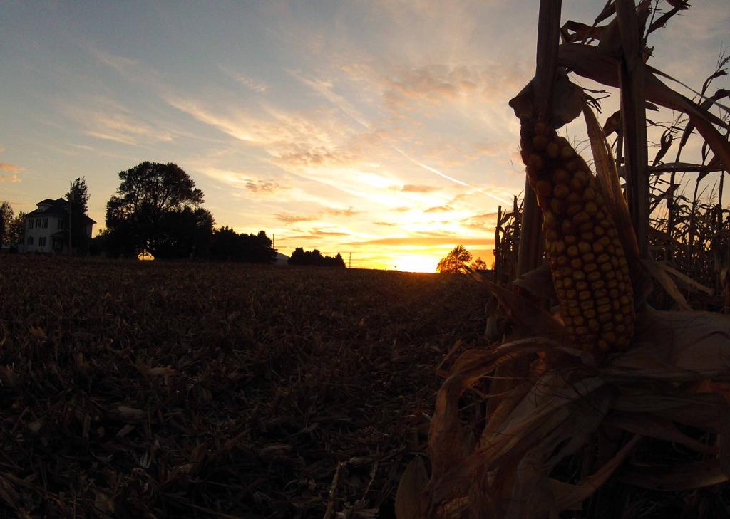  | Arquivo/Gazeta do Povo