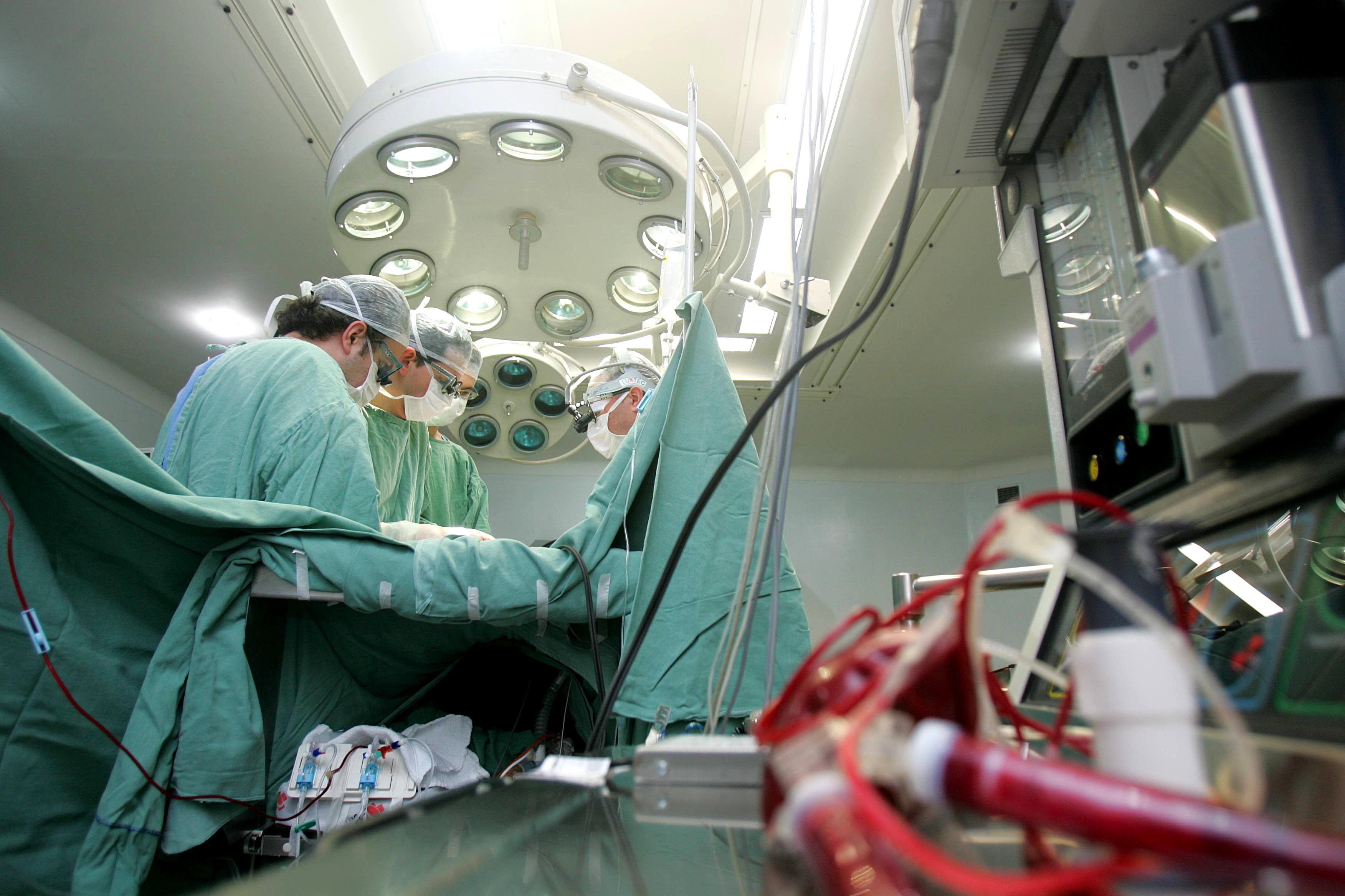 | Daniel Castellano/Arquivo/Gazeta do Povo