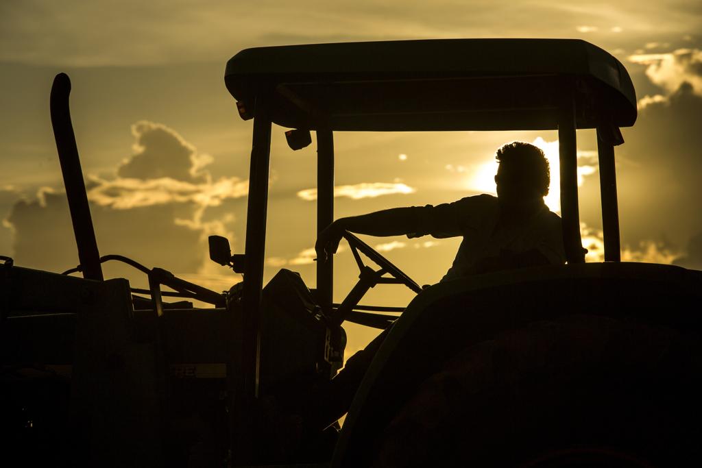  | Marcelo Andrade/Gazeta do Povo