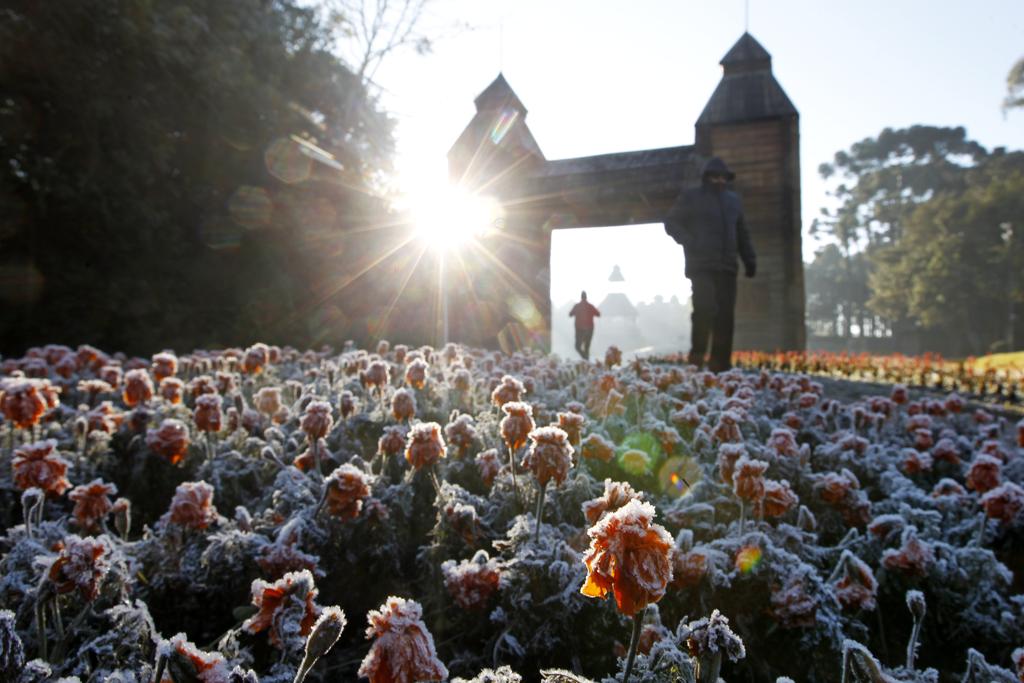 Geada deve ser fraca e, para vê-la, vai ser preciso acordar cedo | Antônio More/Gazeta do Povo